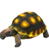 Hobby Turtle 1