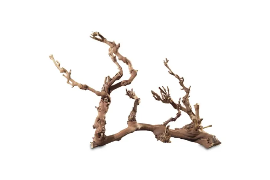 Hobby Weinrebenwurzel Jumbo, ca. 50-70 cm