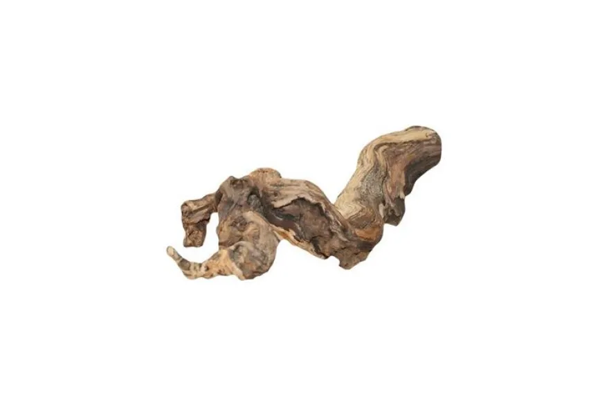Hobby Weinrebenwurzel Jumbo, ca. 50-70 cm