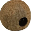 JBL Cocos Cava 3/4