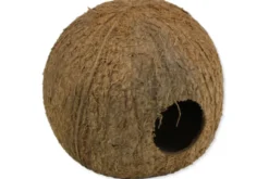 JBL Cocos Cava 3/4