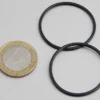 JBL ProCristal i30 O-Ring, 2 Stück