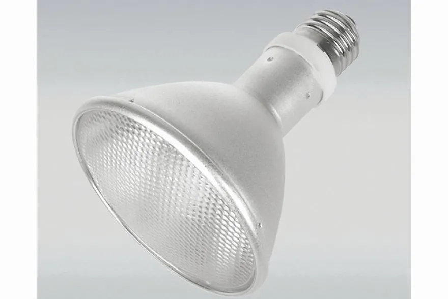 JBL ReptilDesert L-U-W light Alu, 70 W