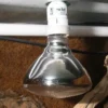 JBL UV-Spot plus, für Licht, Wärme, UV, 160W
