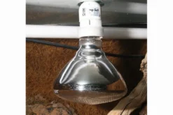 JBL UV-Spot plus, für Licht, Wärme, UV, 160W