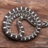 Kornnatter, Pantherophis guttatus ANERY