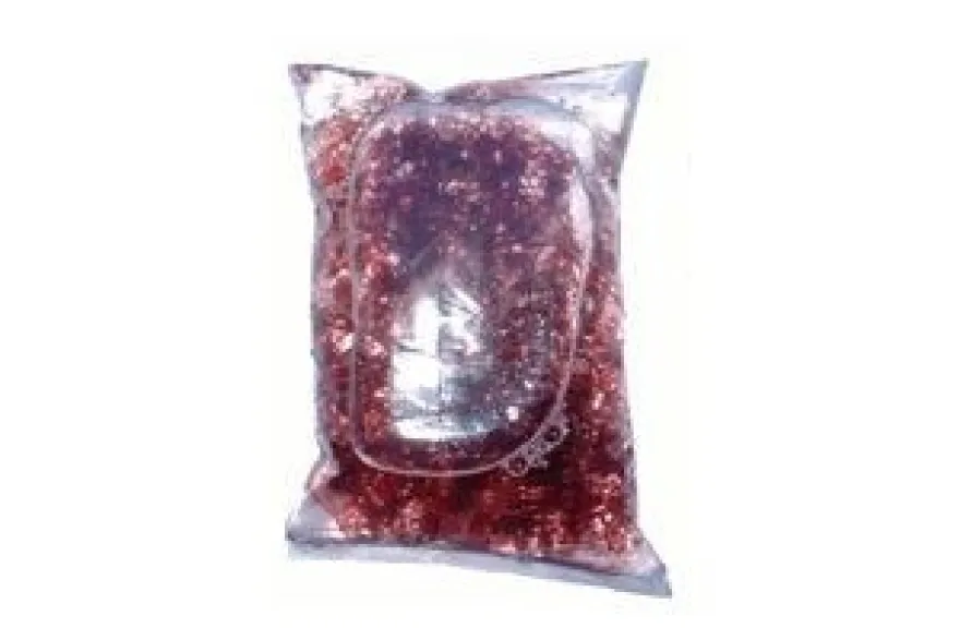 Lebendfutter Rote Mückenlarven Portionsbeutel, 90 ml