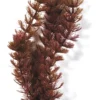Marina Aquascaper Foxtail 30 cm