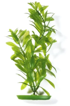 Marina Aquascaper Hygrophila 20 cm