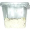 Mikrowürmer, Panagrellus redivivus, Zuchtansatz, 250 ml
