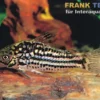 Napo-Panzerwels, Corydoras napoensis