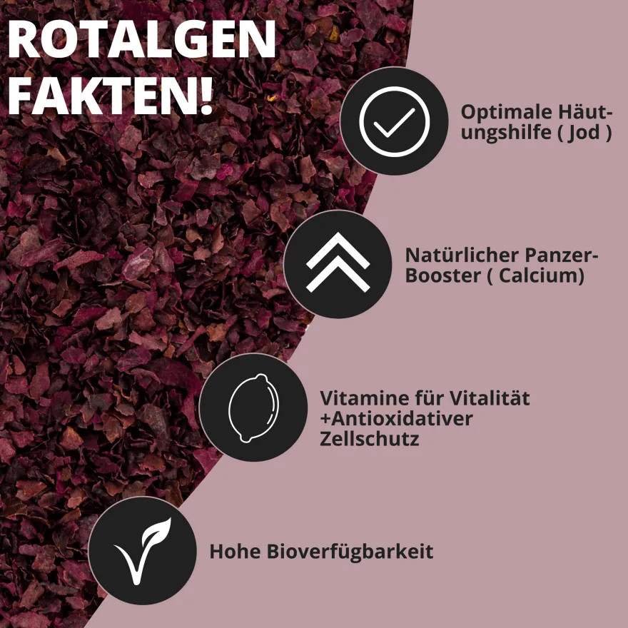 NatureHolic AlgaeFlakes, Rotalgen Flocken, 17 g