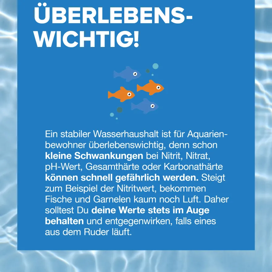 NatureHolic Aqua Check 6-in-1, Wassertest Teststreifen, 50 Stück