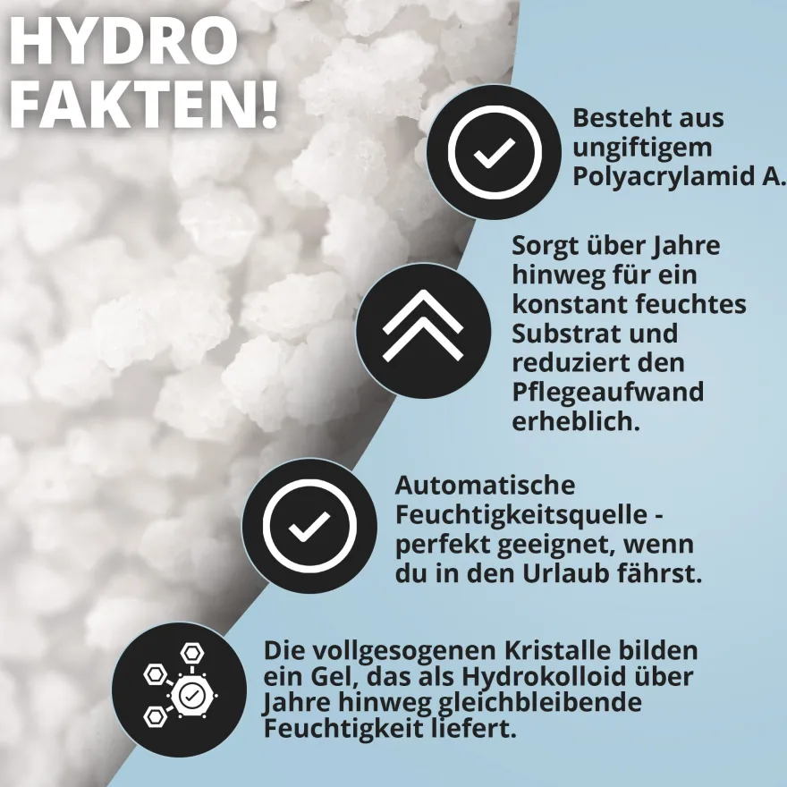 NatureHolic Assel HydroProtect, Wasserspeicher für Asselterrarien, 50 g