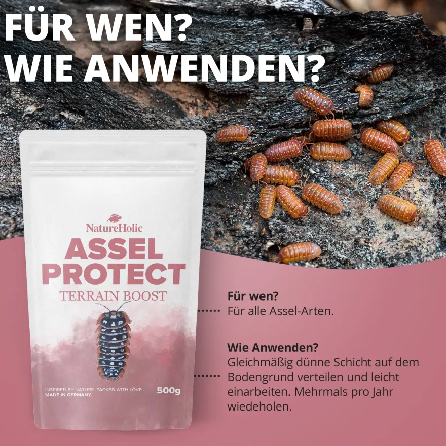 NatureHolic Assel Protect TerrainBoost, Bodenverbesserung im Asselterrarium, 500 g