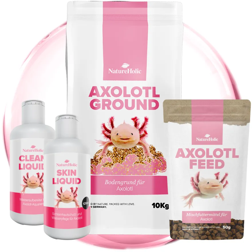 NatureHolic Axolotl Rundum Sorglos-Paket