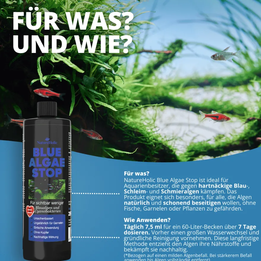 NatureHolic Blue Algae Stop, Blaualgen Entferner, 250 ml