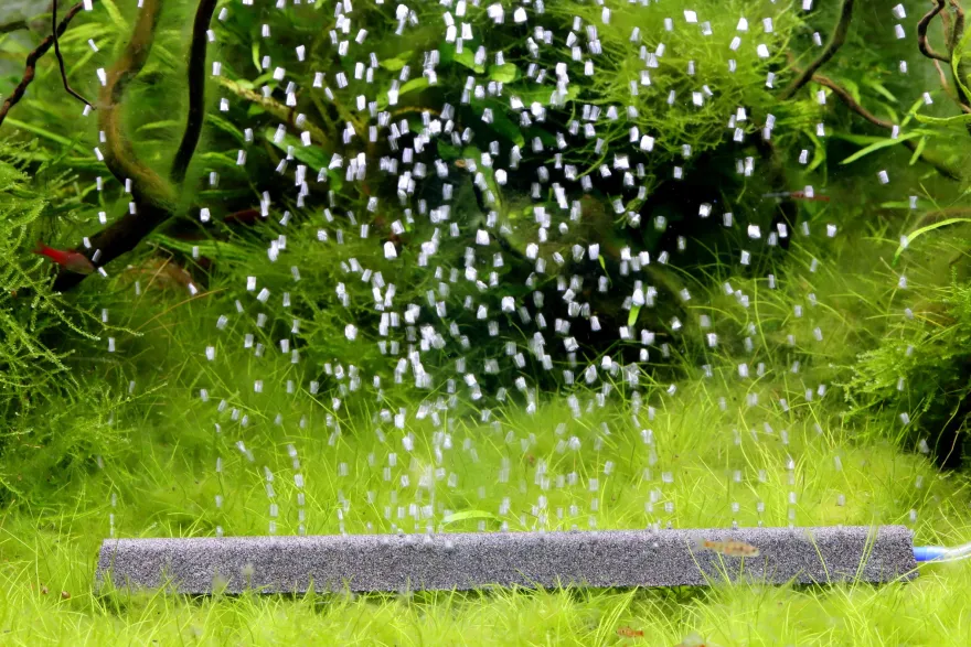 NatureHolic Bubble Bar Ausströmerstein, 100 mm