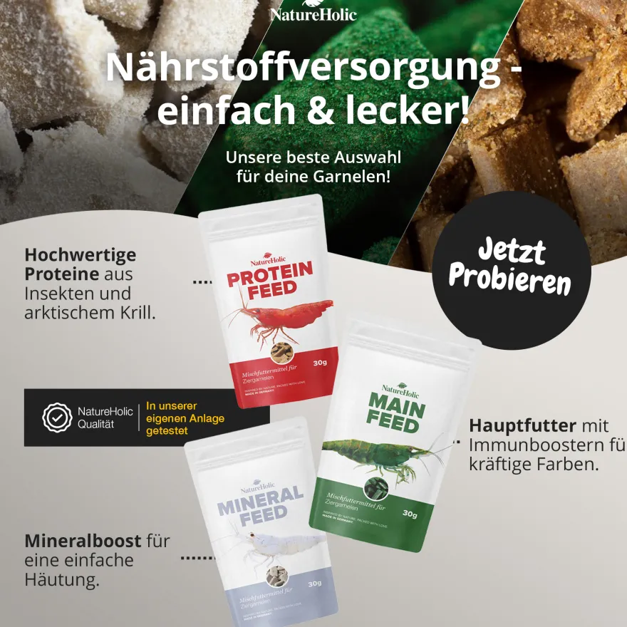 NatureHolic Futter Paket, Mainfeed + Proteinfeed + Mineralfeed, Garnelenfutter, 3 x 30 g
