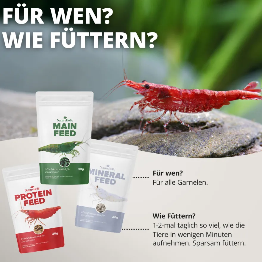 NatureHolic Futter Paket, Mainfeed + Proteinfeed + Mineralfeed, Garnelenfutter, 3 x 30 g