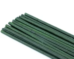 NatureHolic Garnelen Lollies „Popeye Spinat“, 5 Lollis