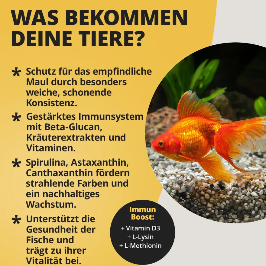 NatureHolic Goldfish Softies, Goldfischfutter, 130 g