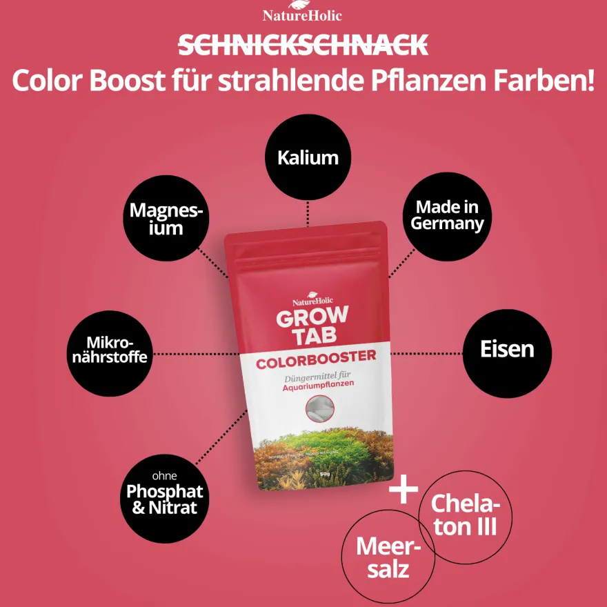 NatureHolic Grow Tab Colorbooster, Effektive Düngetabs, 50 g