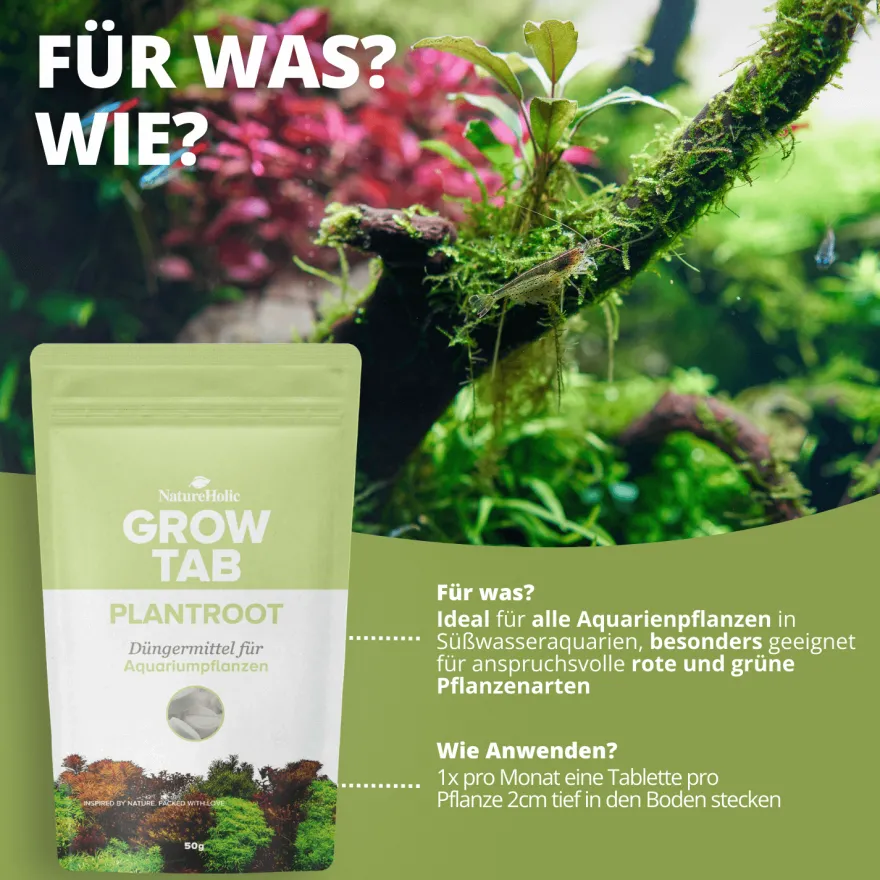 NatureHolic Grow Tab Plantroot, Effektive Düngetabs, 50 g