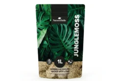 NatureHolic JungleMoss Sphagnum Moos für Zimmerpflanzen, 1 Liter