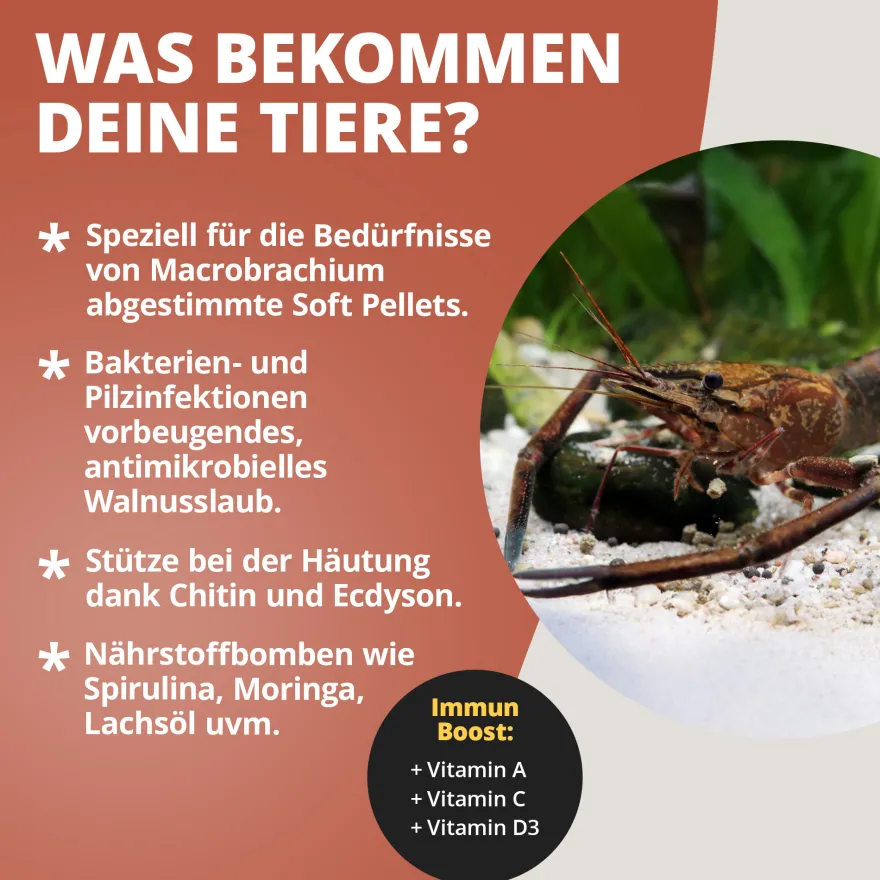 NatureHolic Macrofeed, Großarmgarnelen Futter, 30 g