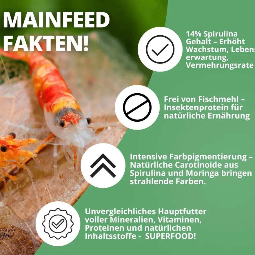 NatureHolic Mainfeed, Garnelen Futter, 30 g