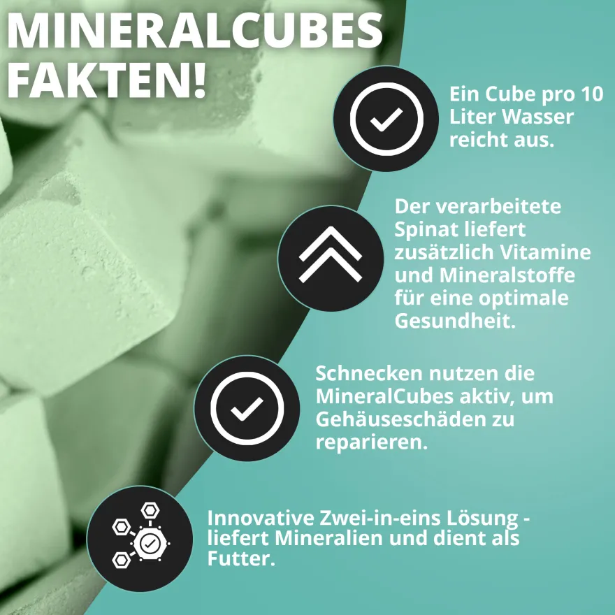 NatureHolic MineralCube Spinat Power, Mineralfutter, 30 g