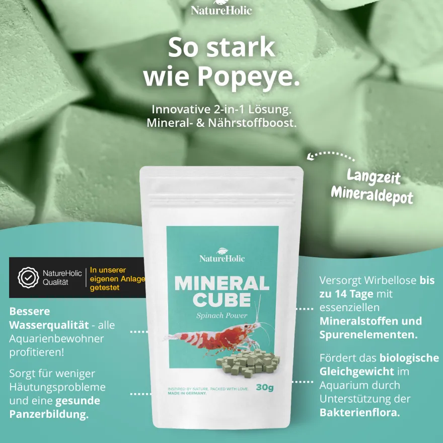 NatureHolic MineralCube Spinat Power, Mineralfutter, 30 g