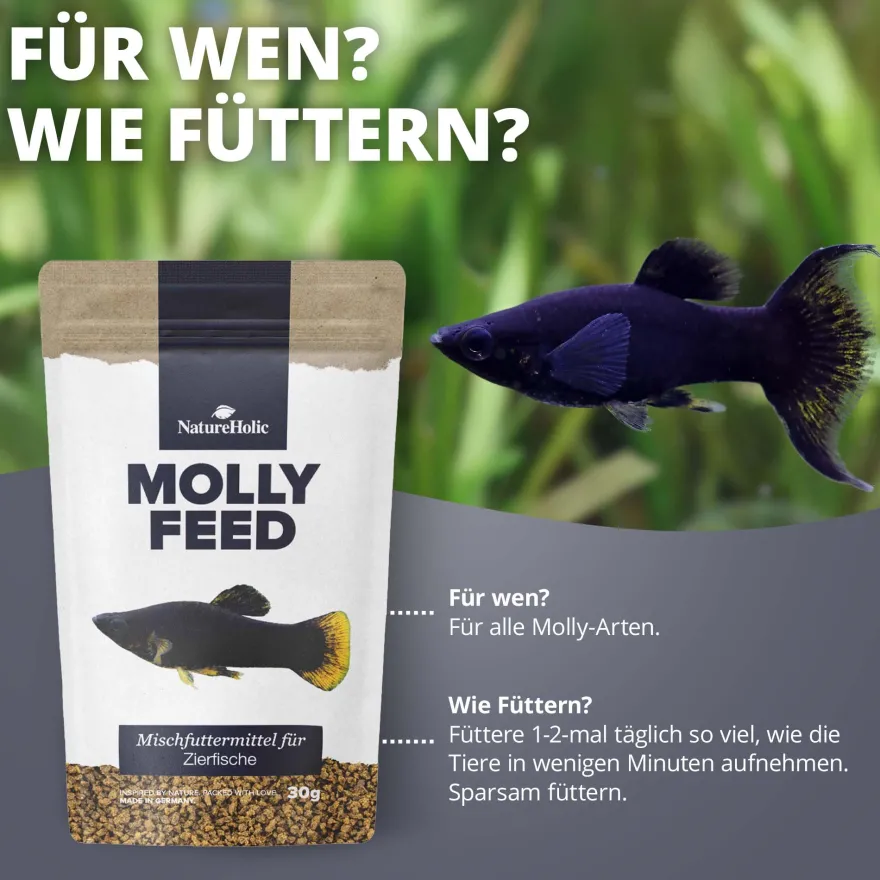 NatureHolic MollyFeed, Fischfutter, 30 g