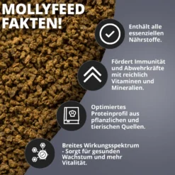 NatureHolic MollyFeed, Fischfutter, 30 g