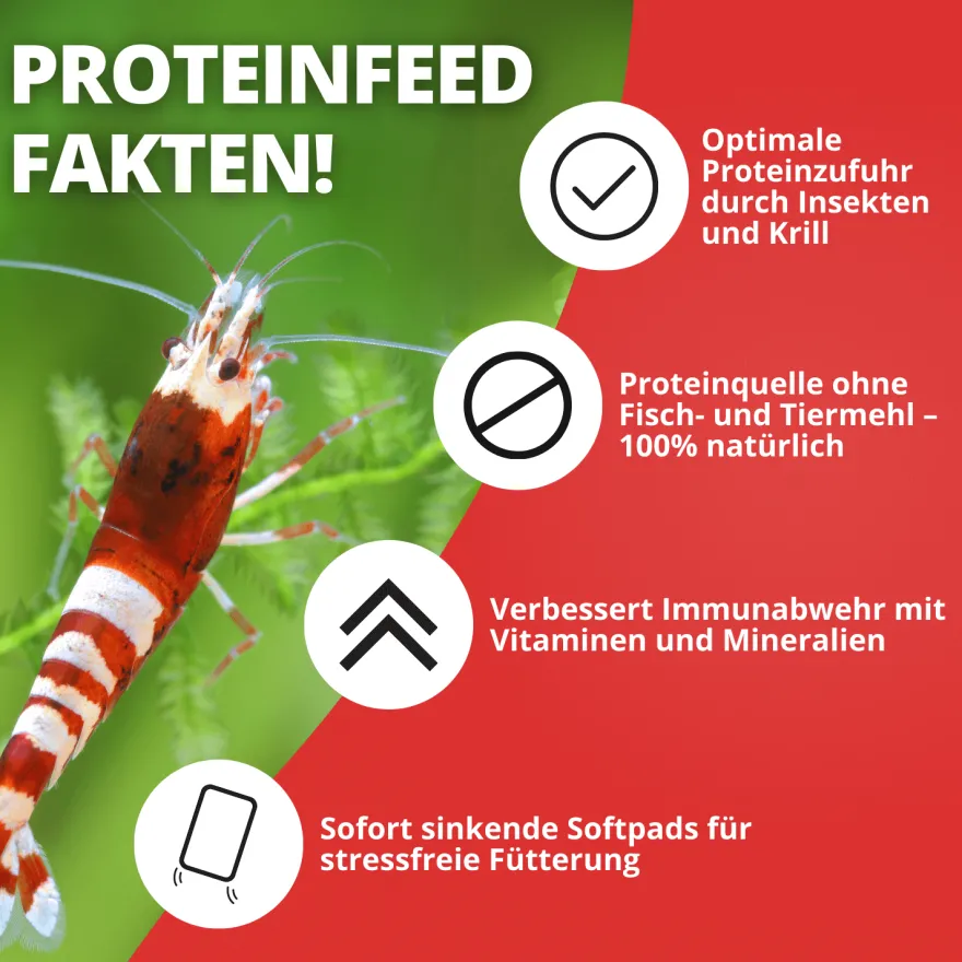 NatureHolic Proteinfeed, Garnelenfutter, 30 g