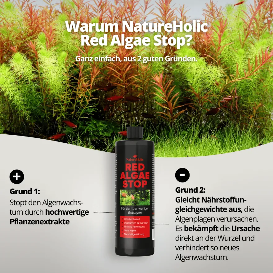 NatureHolic Red Algae Stop, Rotalgen Entferner, 250 ml