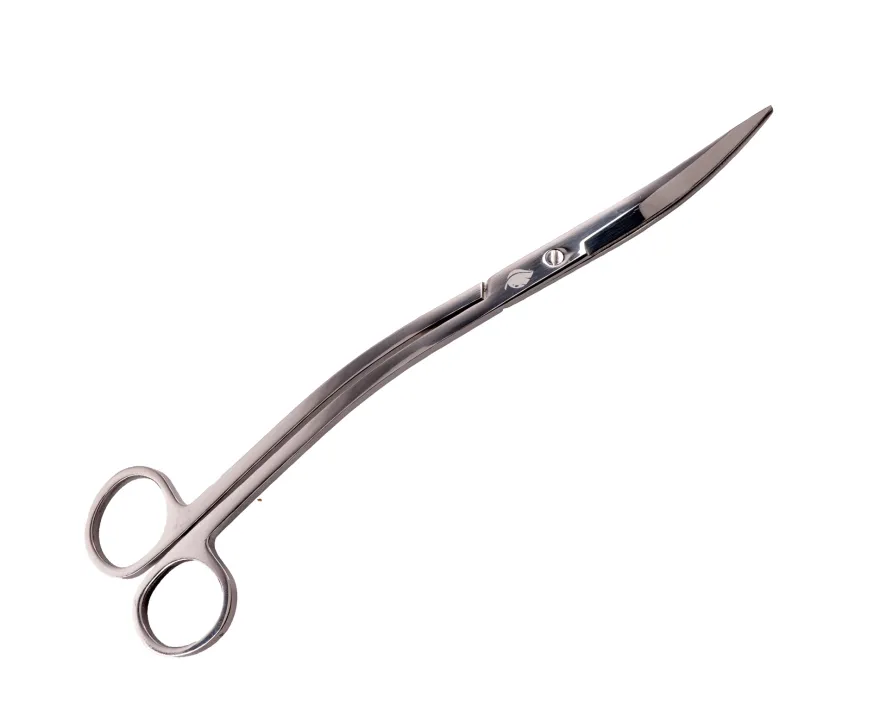 NatureHolic Scaping Scissors wave silver, geschwungene Pflanzenschere, 25 cm