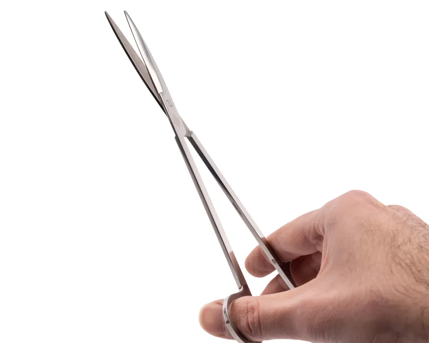 NatureHolic Scaping Scissors straight silver, gerade Pflanzenschere, 22 cm
