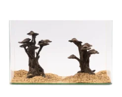 NatureHolic Stone Bonsai Shizukana, 2 Bäume
