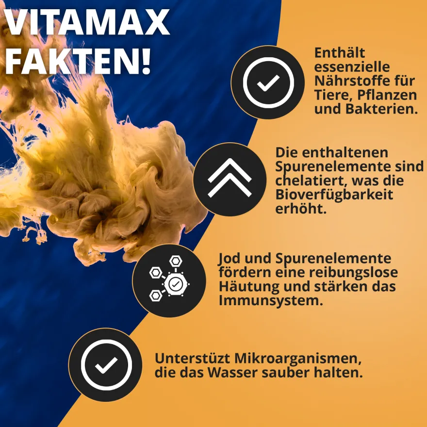 NatureHolic VitaMax Liquid, Vitaminkur, 125 ml