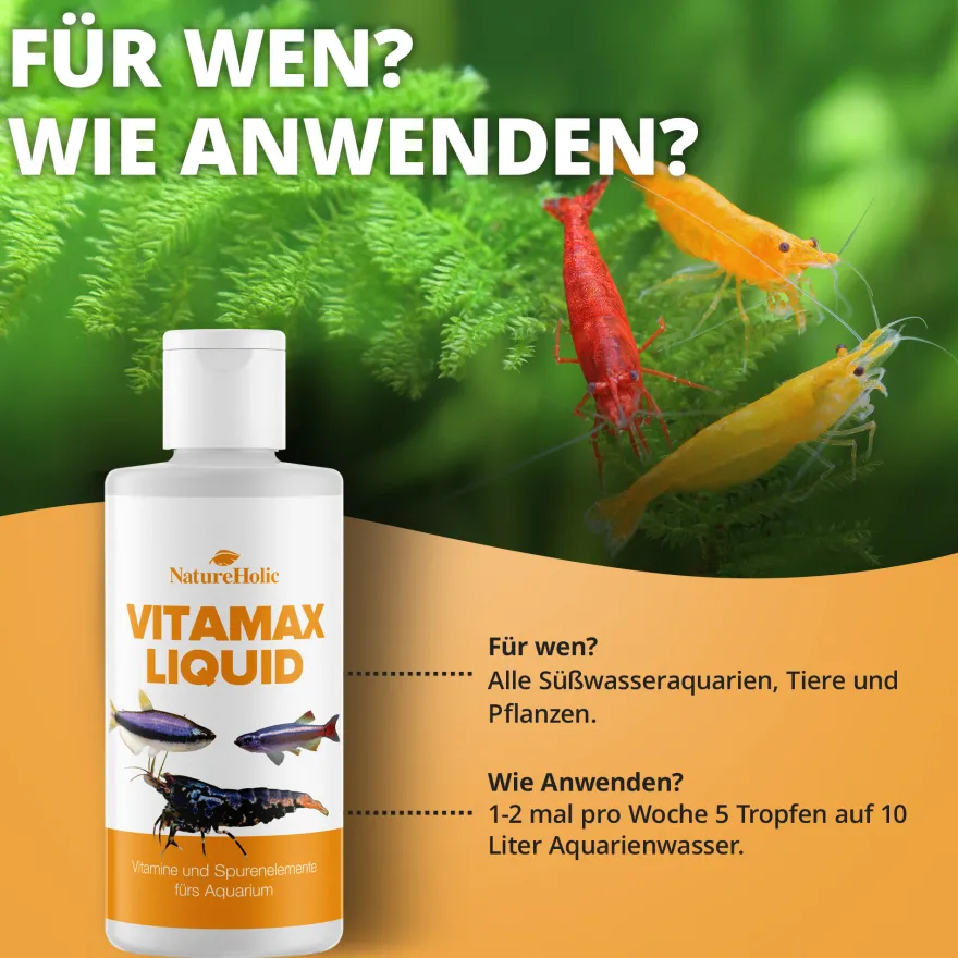 NatureHolic VitaMax Liquid, Vitaminkur, 125 ml
