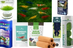 Neocaridina 10+1 Color Mix Set mit Moos, Deko & Futtermix