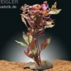 Rosanerviges Papageienblatt, Alternanthera reineckii "Red Ruby", im Topf