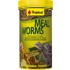 Tropical Meal Worms / Mehlwürmer, 250 ml