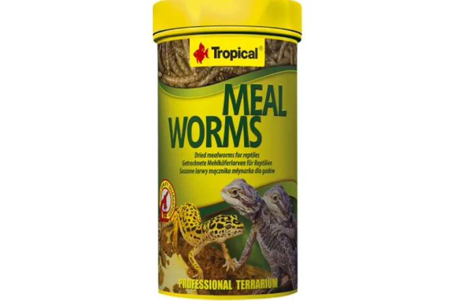Tropical Meal Worms / Mehlwürmer, 250 ml