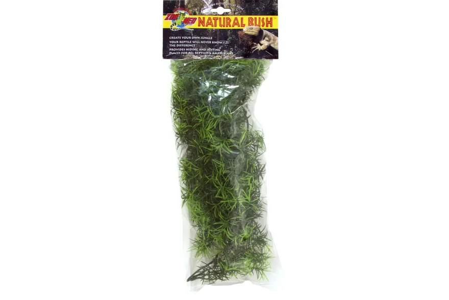 Zoomed Medium Cashuarina Kunststoffpflanze, 46 cm
