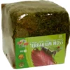 Zoomed Terrarium Moss Minibale, Moos, 5,62 L